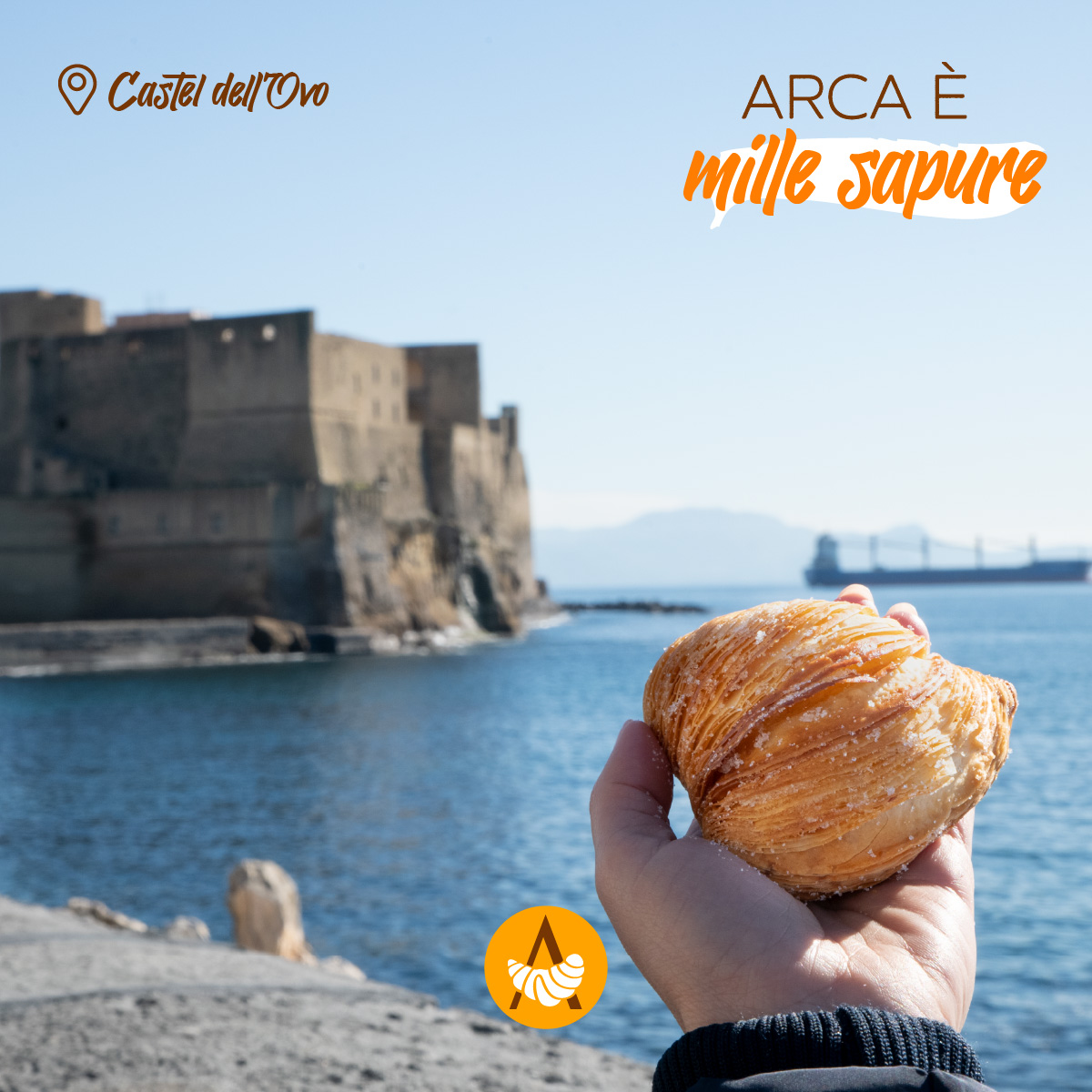 Scopri di più sull'articolo Arca è Mille Sapur